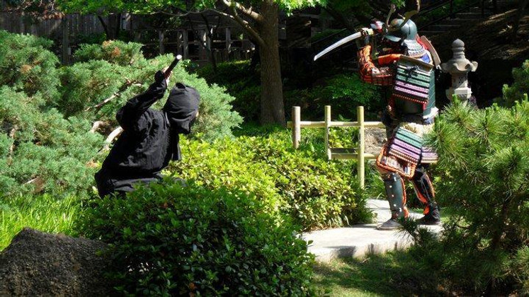 Ninja or Samurai: Who Would You Pick?