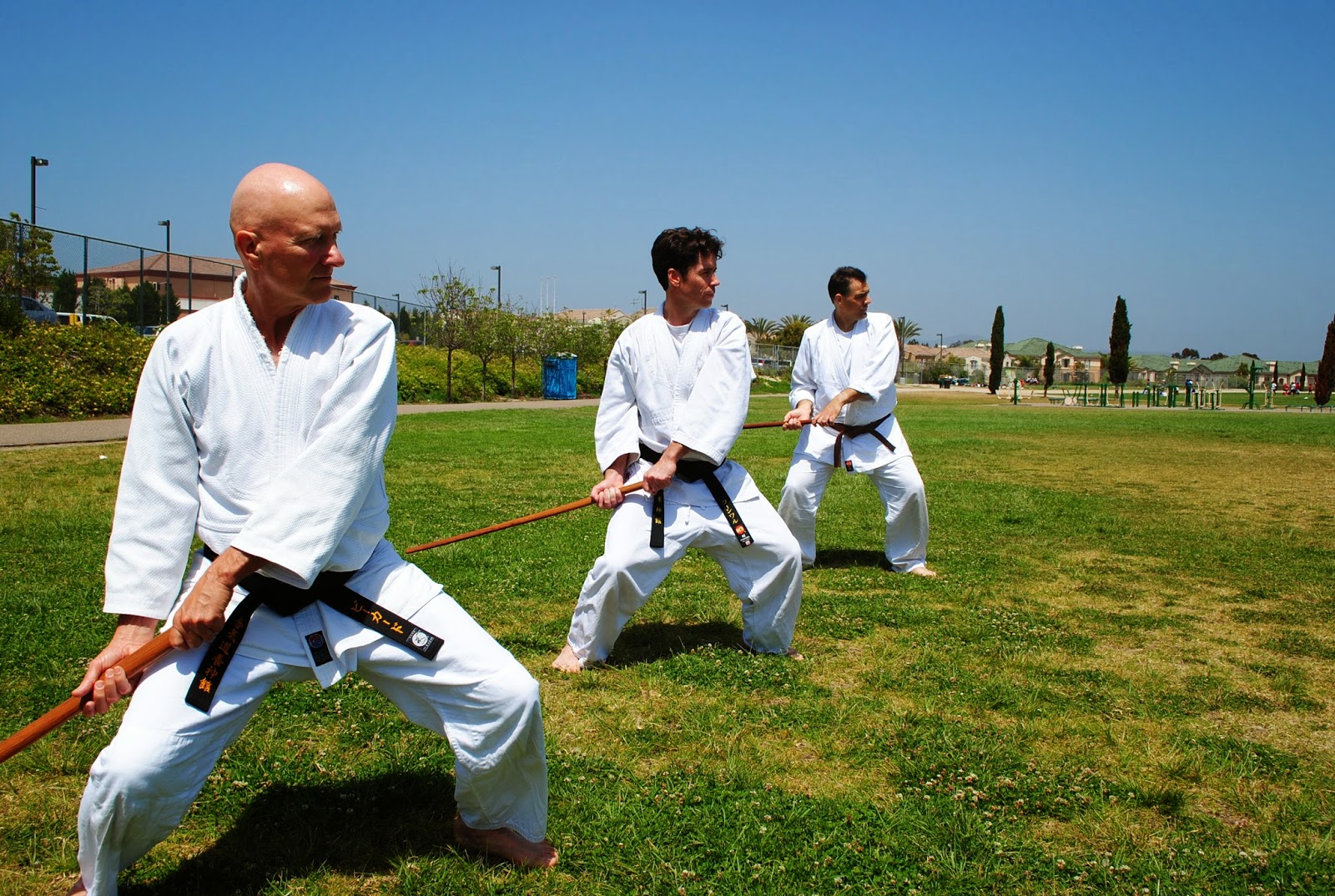 Mastering the Beautiful Varieties of Bokken Sword N Armory