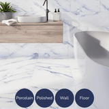 Apollo Gold Calacatta Polished Marble Effect Tiles (60x60cm)