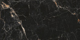 Black Marble Golden Bordeaux Polished (10x10cm) [Cut Sample]