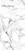 Pronto Wingate White Marble (10x10cm) [Cut Sample]