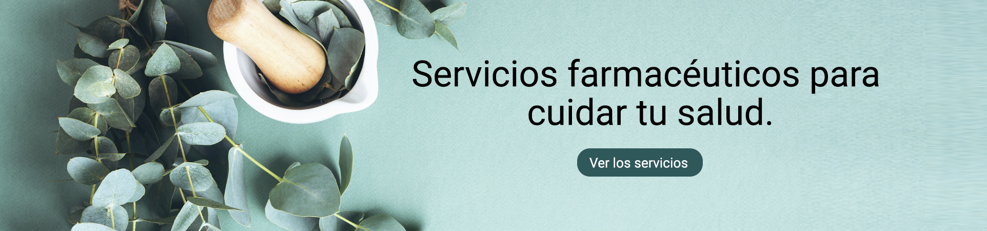 slider servicios