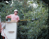GREENLEE Long Reach Chain Saw (62")