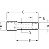 1/2" Drive 12 Point Deep SAE Socket 3/4"