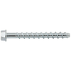DEWALT Screwbolt Screw Anchor 1/4In X 3In