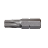 IRWIN 1IN TORX 30 - BAG (10)