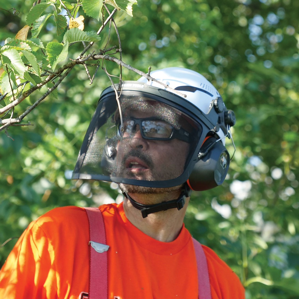 Replacement Face Shield Lens, Cap Style, Clear