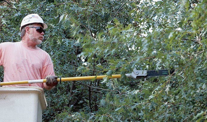 GREENLEE Long Reach Chain Saw (62")