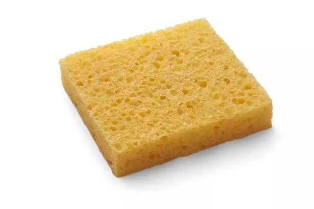 SPONGE STATION