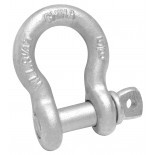 SHACKLE,SCREW PIN,1/2",H/G,TAGGED