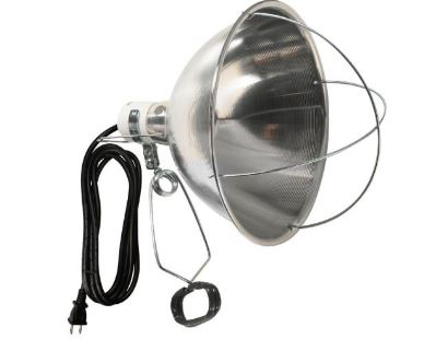 WOODS 10.5" 300W Brooder Clamp Light, 18/2 8' SJTW w/ Cage 6/BX