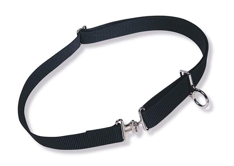 Jameson Belt, Adjustable Web Style