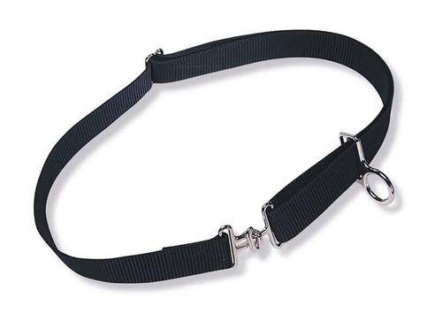 Jameson Belt, Adjustable Web Style