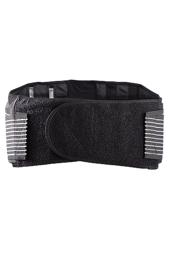 Occunomix  Premium X-Tend Back Support 1/EA