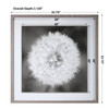 Uttermost Dandelion Seedhead Framed Print