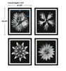 Uttermost Contemporary Floret Framed Prints, S/4