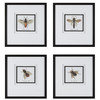 Uttermost Anthophila Framed Prints, S/4