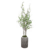 Uttermost Aldis Potted River Birch