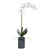 Uttermost Eponine White Orchid