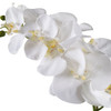 Uttermost Cami White Orchid