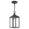 Livex Lighting 1 Lt Scandinavian Gray Outdoor Pendant Lantern - 20591-76