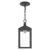 Livex Lighting 1 Lt Scandinavian Gray Outdoor Pendant Lantern - 20591-76