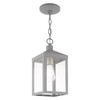 Livex Lighting 1 Lt Nordic Gray Outdoor Pendant Lantern - 20591-80