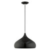 Livex Lighting 1 Lt Shiny Black Mini Pendant - 41173-68