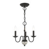 Livex Lighting 3 Lt Black Mini Chandelier - 52163-04