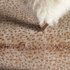 Jaipur Living Axis CTY13 Animal Tan Power Loomed Area Rugs
