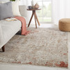 Jaipur Living Marzena VLN01 Abstract Tan Power Loomed Area Rugs