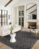 Loloi II Vance Van-11 Charcoal / Dove Power Loomed Area Rugs