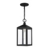 Livex Lighting 1 Lt Black Outdoor Pendant Lantern - 20591-04