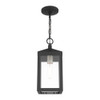 Livex Lighting 1 Lt Black Outdoor Pendant Lantern - 20591-04