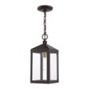 Livex Lighting 1 Lt Bronze Outdoor Pendant Lantern - 20591-07