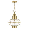 Livex Lighting 1 Lt Antique Brass Outdoor Pendant Lantern - 26906-01