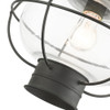 Livex Lighting 1 Lt Charcoal Outdoor Pendant Lantern - 26906-61