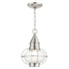 Livex Lighting 1 Lt Brushed Nickel Outdoor Pendant Lantern - 26910-91