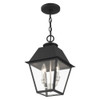 Livex Lighting 2 Lt Black Outdoor Pendant Lantern - 27217-04