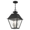 Livex Lighting 3 Lt Black Outdoor Pendant Lantern - 27220-04