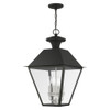 Livex Lighting 4 Lt Black Outdoor Pendant Lantern - 27224-04