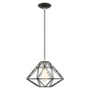 Livex Lighting 1 Lt Black Pendant - 41323-04