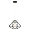 Livex Lighting 1 Lt Black Pendant - 41323-04