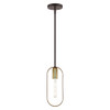 Livex Lighting 1 Lt Bronze With Antique Brass Accents Pendant - 45761-07