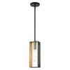 Livex Lighting 1 Lt Textured Black With Brushed Nickel Accents Pendant - 45951-14