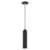 Livex Lighting 1 Lt Black Pendant - 46751-04