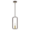 Livex Lighting 1 Lt Bronze With Antique Brass Accents Pendant - 49741-07