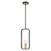 Livex Lighting 1 Lt Bronze With Antique Brass Accents Pendant - 49741-07