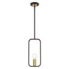 Livex Lighting 1 Lt Bronze With Antique Brass Accents Pendant - 49741-07