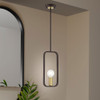 Livex Lighting 1 Lt Bronze With Antique Brass Accents Pendant - 49741-07